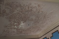 IMG_20210630_093738