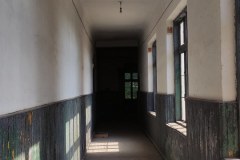 IMG_20210630_093744
