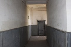 IMG_2989